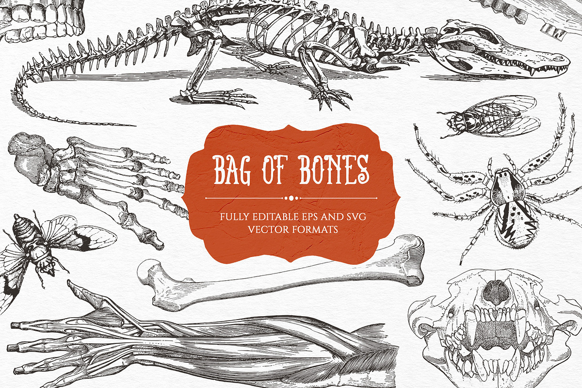 Bag of Bones | Vintage Clipart, a Seasonal Illustration by GVGraphics (Photo 5 of 13)