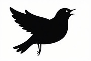 Bird Silhouette design bundle, an Illustration by abu67222 (Thumbnail 3 of 13)