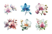 Watercolor Orchid Clipart, an Illustration by Daily.Designs (Thumbnail 5 of 5)