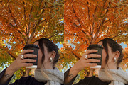 15 Vibrant Fall Lightroom Presets, a Preset Add-On by TheWayfarerShoppe (Thumbnail 3 of 9)