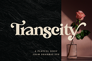 Transcity - A Playful Serif, a Serif Font by Dharmas Foundry (Thumbnail 16 of 16)
