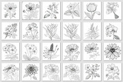 100 Beautiful Flower Coloring Pages, a Decorative Illustration by Blue Digital Studio (Thumbnail 7 of 7)
