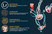 Sweet Lightroom Presets, an Action Add-On by Lavinsky Art Store (Thumbnail 2 of 14)
