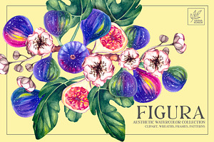Figura Fig Plant Watercolor clipart