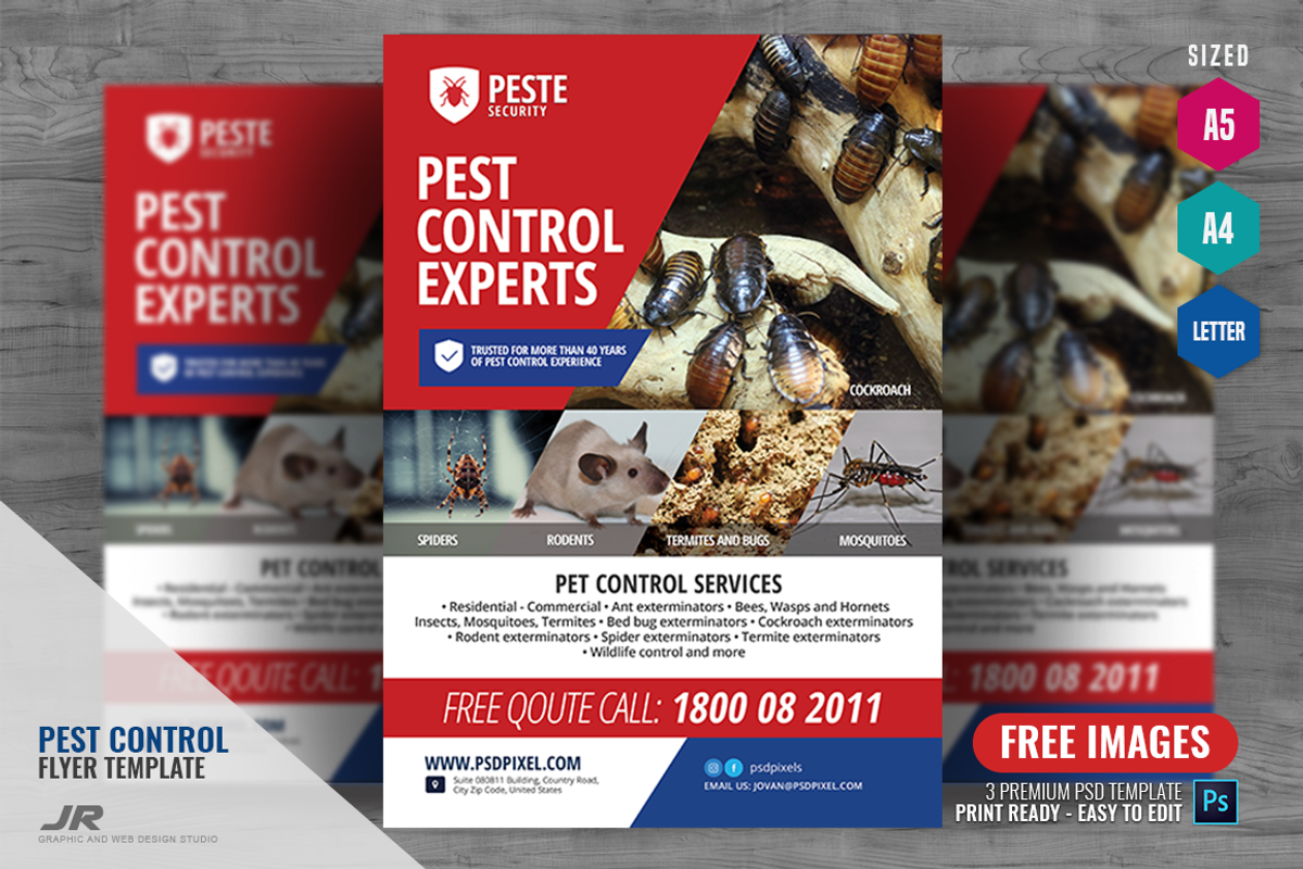 Pest Advertisement Flyer, a Flyer Template by PSDPixel