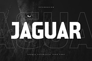 Jaguar - Sports Futuristic Tech Font, a Sans Serif Font by Hamz Studio (Thumbnail 1 of 16)