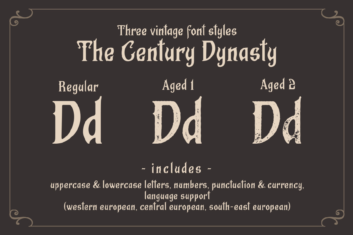 The Century Dynasty, a Serif Font by Magicpics (Photo 2 of 13)