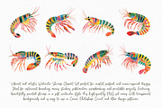 Watercolor Shrimp Clipart Set, an Illustration by Libby Wishes (Thumbnail 5 of 8)