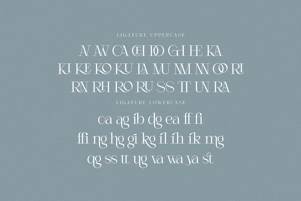 Agican Elegant Serif, a Serif Font by Cruzine (Photo 8 of 9)