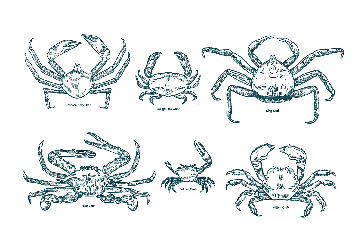 Crabs set + seamless patterns, an Animal Illustration by Good Studio (Photo 3 of 14)