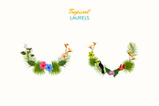 Tropical Realistic Paintings, a Decorative Illustration by Storyteller Imagery (Thumbnail 7 of 16)