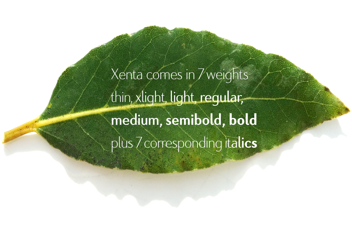 Xenta Sans fonts, a Sans Serif Font by Wiescher Design (Photo 8 of 8)