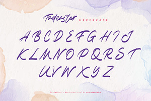 Tadcaster - Bold Script Font