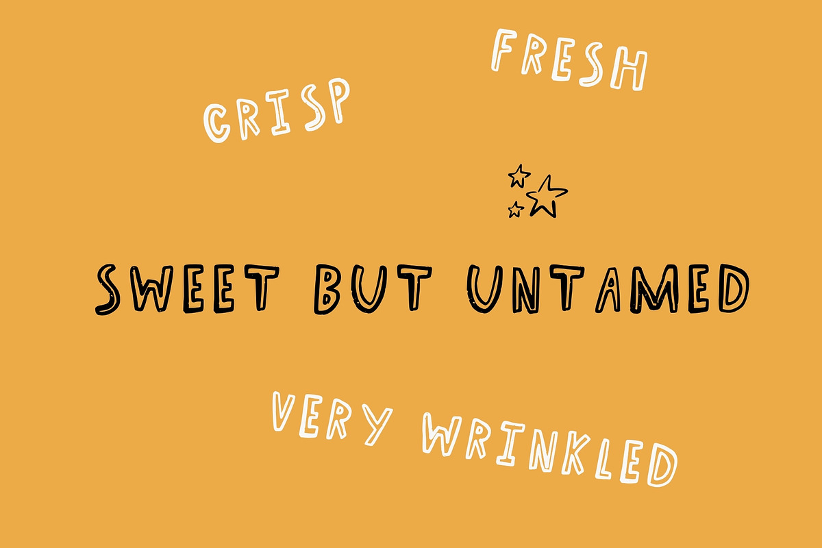 Wild Honey. Whimsical Font, a Handwritten Font by PaperJamLab (Photo 6 of 15)