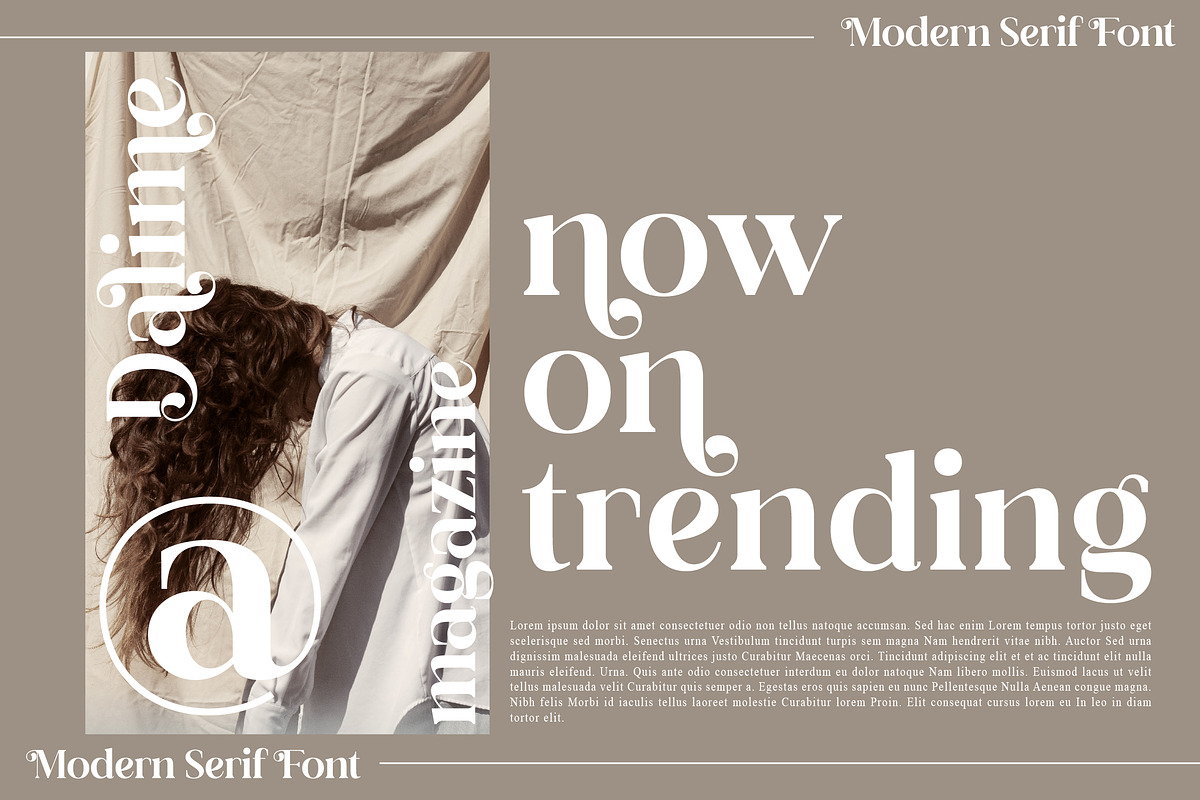 Dalime Stylish Modern Serif Font, a Serif Font by Storytype Studio (Photo 8 of 15)