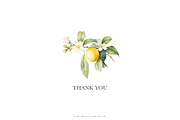 Watercolor Lemon Clipart Collection, a Graphic by Patishop Art (Thumbnail 10 of 10)