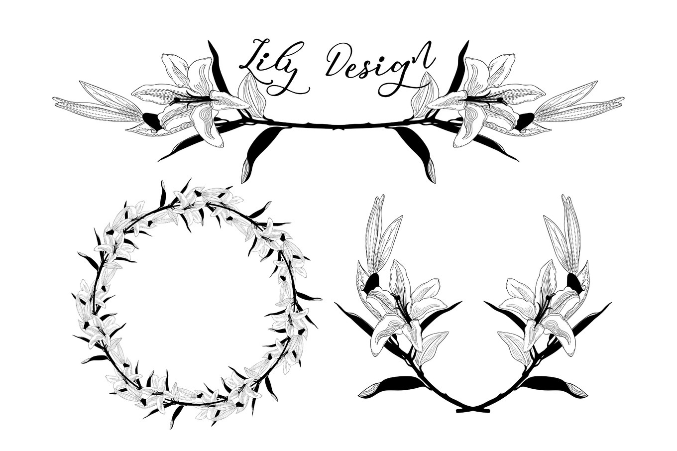 Lily Flower Design Elements, a Decorative Illustration by Olya Creative
