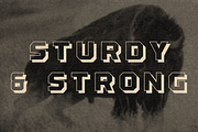 Brute, a Sans Serif Font by Deadbolt Design Lab (Thumbnail 4 of 5)