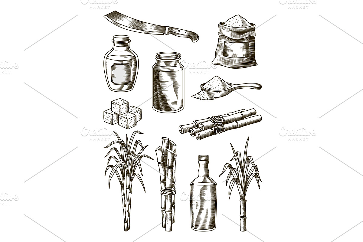 Cane sugar. Set of product, a Food Illustration by Things for designers