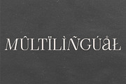 Kassan - Luxury Display Serif Font, a Serif Font by Studio Aurora (Thumbnail 10 of 11)
