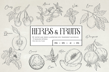Herbs & Fruits hand drawn collection, an Object Illustration by Effy's Wonderland