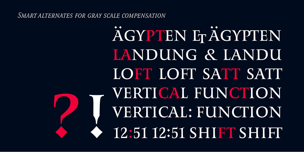 Romis, a Serif Font by Finaltype (Photo 8 of 22)