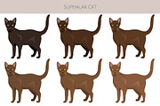 Suphalak cat clipart, an Animal Illustration by pet design shop (Thumbnail 2 of 6)