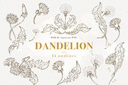 Dandelion set of 14 pen sketches, an Illustration by Bee_in_a_Nest (Thumbnail 1 of 4)