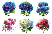 Spring Blooming Hydrangea Clipart, an Illustration by Dream Creation (Thumbnail 2 of 7)