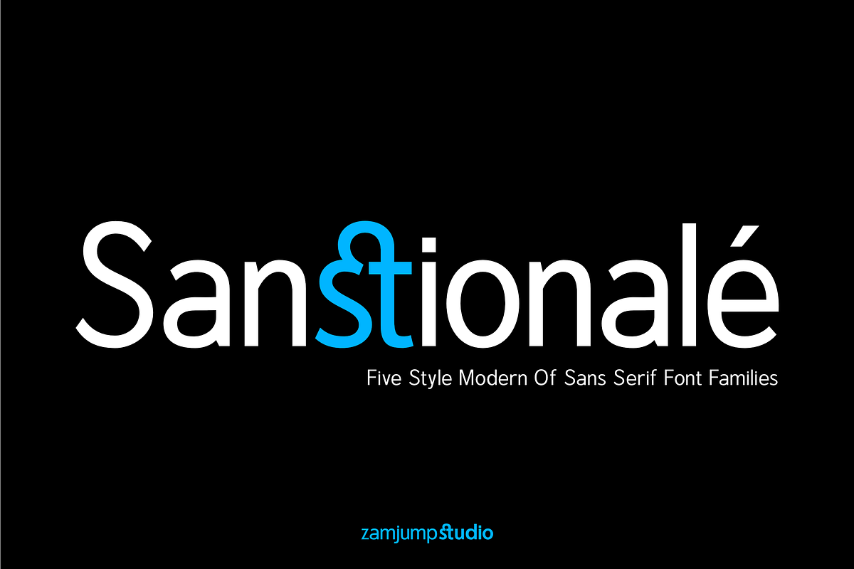 Sanstionale _ Modern Sans Family, a Font by zamjumps (Photo 1 of 12)