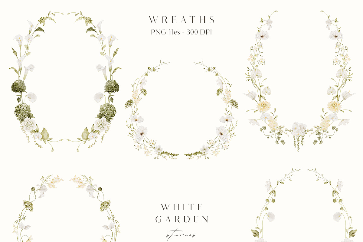 White Florals Watercolor Collection, a Decorative Illustration by Altea Design Studio (Photo 12 of 13)