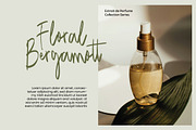 Mango Driver - Signature Brush, a Handwritten Font by tebaltipislab (Thumbnail 7 of 10)
