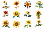 Watercolor Summer Sunflower Clipart, an Illustration by SinaCreation (Thumbnail 2 of 5)