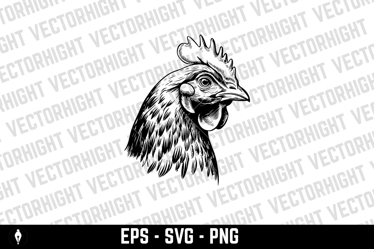 illustration of chicken head. Vector, an Animal Illustration by Vectorhight