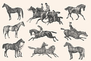 Horses - Vintage Illustration Set, an Illustration by Graphic Goods (Thumbnail 6 of 12)