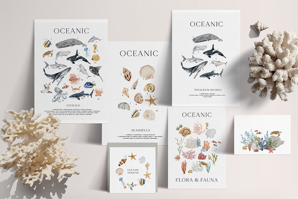 OCEAN Undersea Coral reef animals, an Animal Illustration by Grace Noboa Illustrations (Photo 5 of 15)