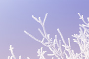 5 Pastel Winter Landscapes, a Background Photo by Fun Fusion Design (Thumbnail 6 of 6)