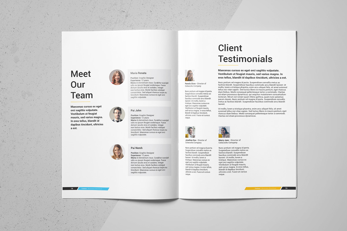 Cameo Business Brochure, a Brochure Template by FathurFateh (Photo 9 of 13)