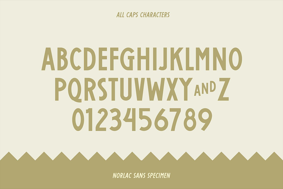Norlac Sans, a Sans Serif Font by Dawaii Goods (Photo 4 of 7)