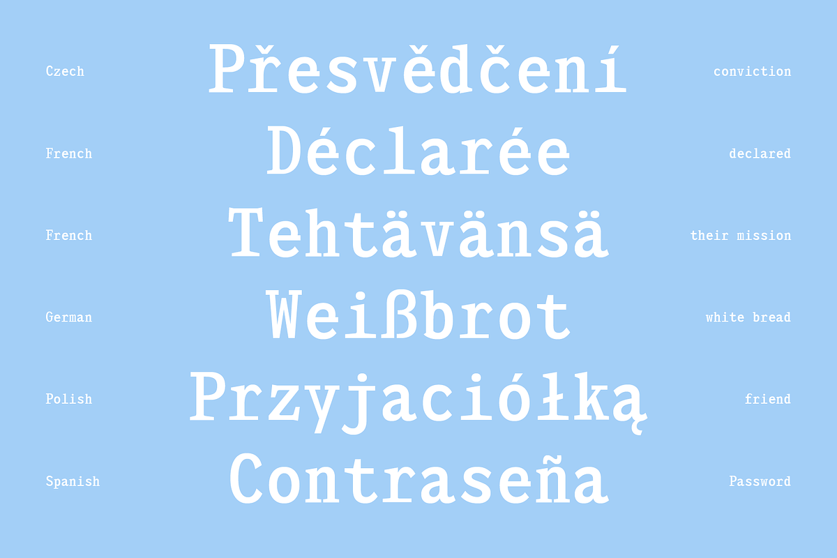 403 Felgrit, a Slab Serif Font by 403 Type Foundry (Photo 4 of 15)