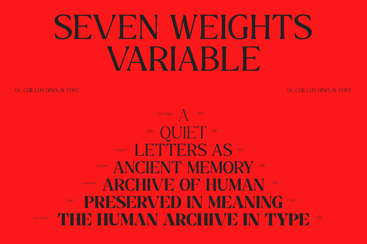 GC Chillon - Stylish Serif Display, a Serif Font by Glyphonic (Photo 5 of 15)