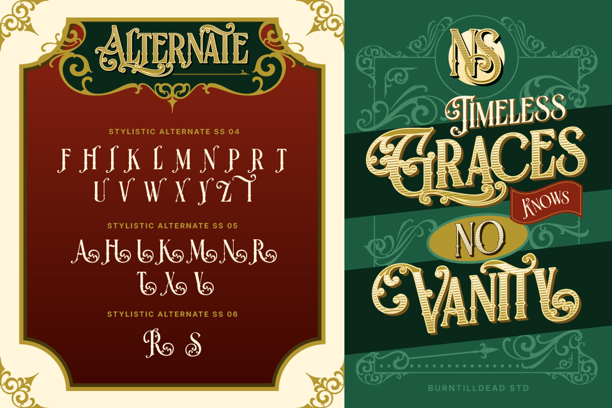 Blazter, a Serif Font by Burntilldead (Photo 8 of 11)