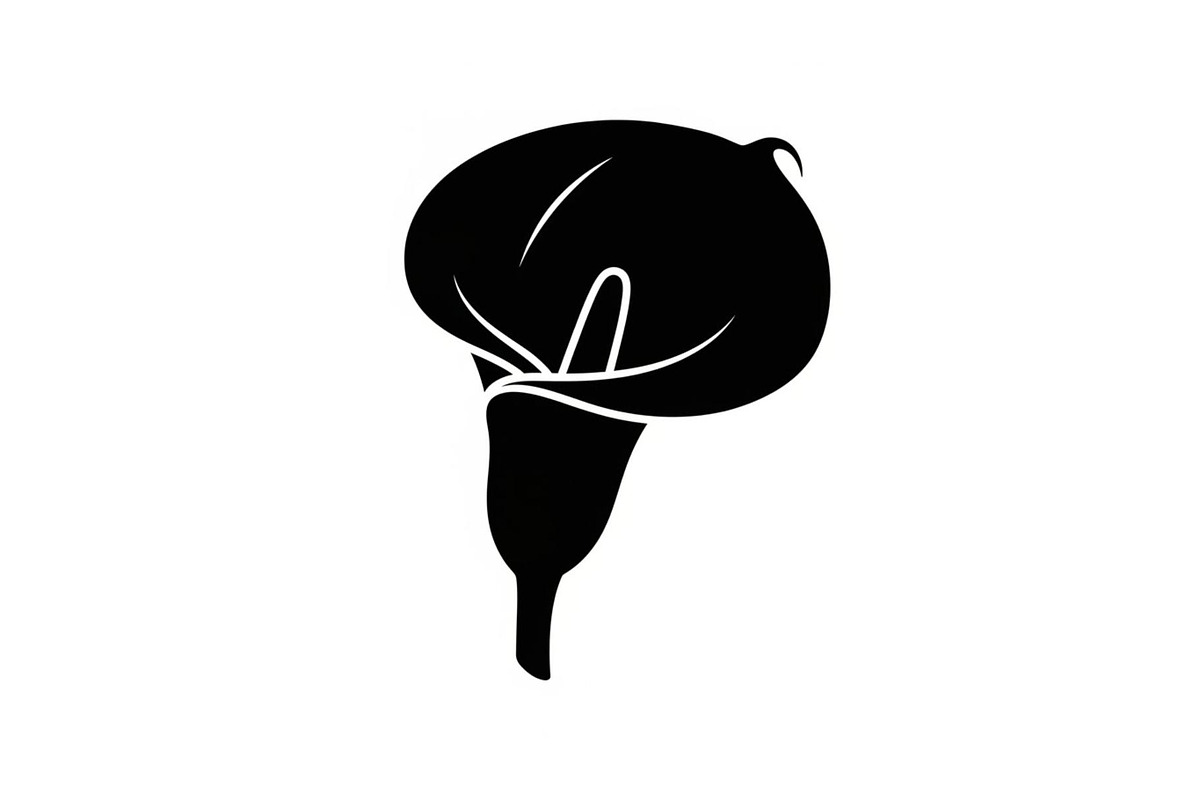 Black Lily Flower Vector Bundle, an Illustration by Designs_River (Photo 3 of 51)