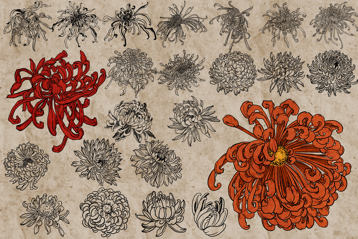 Flower heads stamps for Procreate, a Brush Add-On by TheWhiteCatLab (Photo 4 of 7)