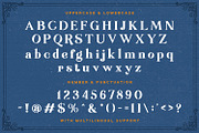 Rudisfave - Decorative Serif Font, a Serif Font by StringLabs (Thumbnail 10 of 11)