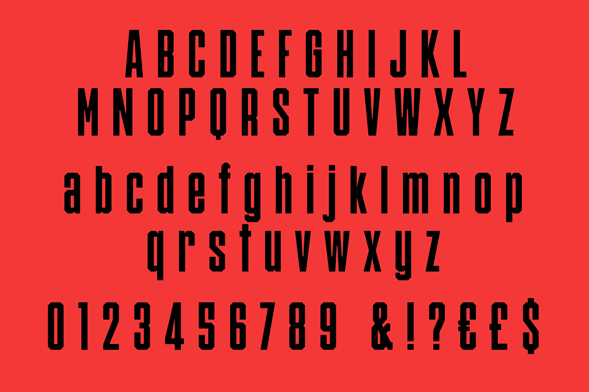 Redig - Condensed bold sans, a Sans Serif Font by Great Scott! (Photo 12 of 12)