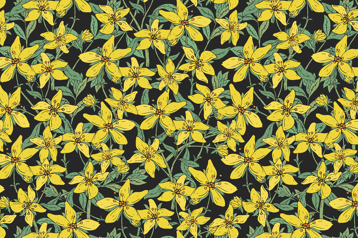 St.John's wort set, seamless pattern, a Decorative Illustration by Good Studio (Photo 4 of 6)