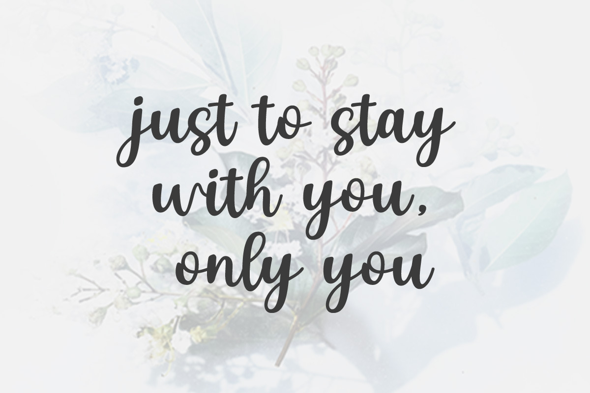 Austaly Calligraphy Font, a Script Font by Multype Studio (Photo 6 of 7)