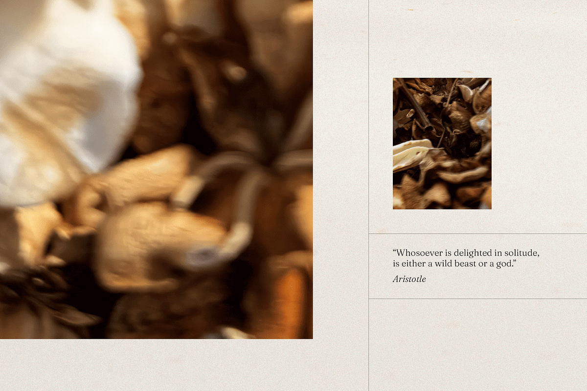 Harvest Rituals | Autumn Images, a Background Photo by bron.alexander (Photo 7 of 12)