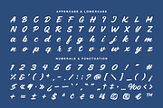 Jollira Ralenia Brush Script Font, a Script Font by Rasio Studio (Thumbnail 3 of 10)